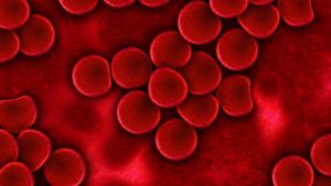 blood-75302_960_720 تحليل RBC